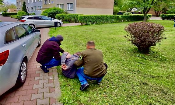 dwaj policjanci ubrani po cywilnemu trzymają zatrzymanego, który siedzi na ziemi, na trawniku