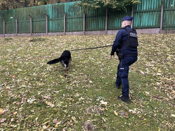 policyjny pies z przewodnikiem idący po skarpie