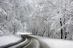 zaśnieżona droga biegnąca przez las
