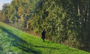 policjant przeszukujący pobliskie zarośla