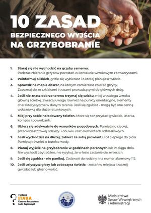 Plakat z napisem 10 zasad bezpiecznego wyjścia na grzybobranie