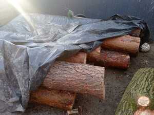 kawałki drzewa częściowo przykryte folią